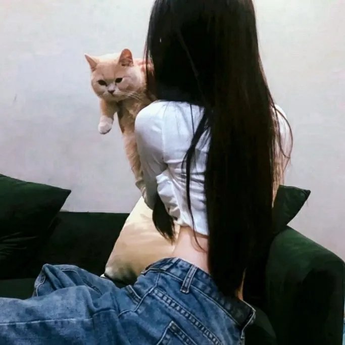 杏苑风流 高清封面