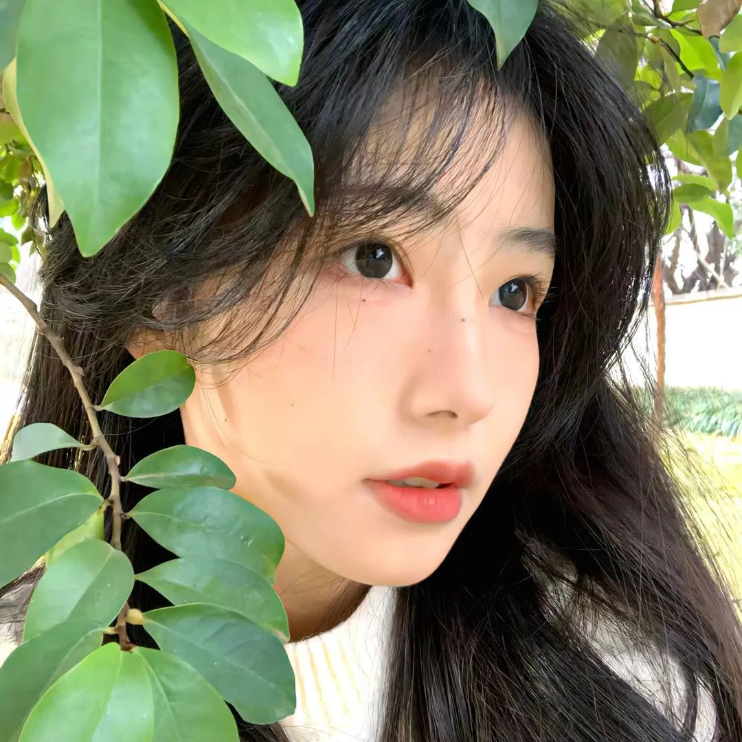 恋爱播放列表 高清封面